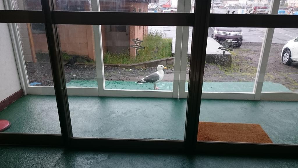 Ryokan Saihokutei Rishirifuji المظهر الخارجي الصورة
